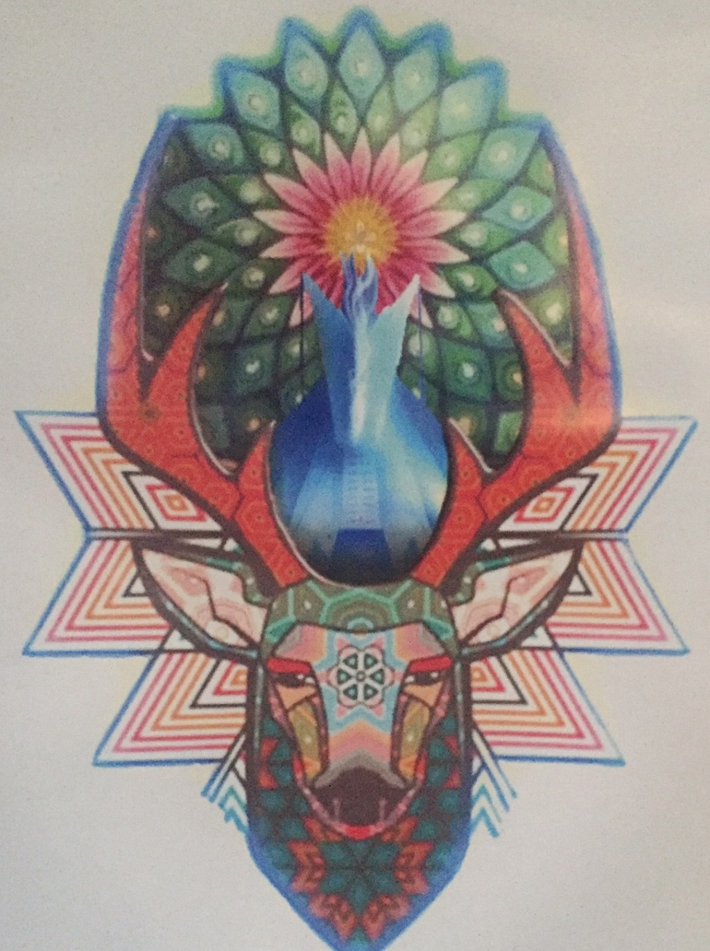 If A Tree Falls In A&nbsp;Forest