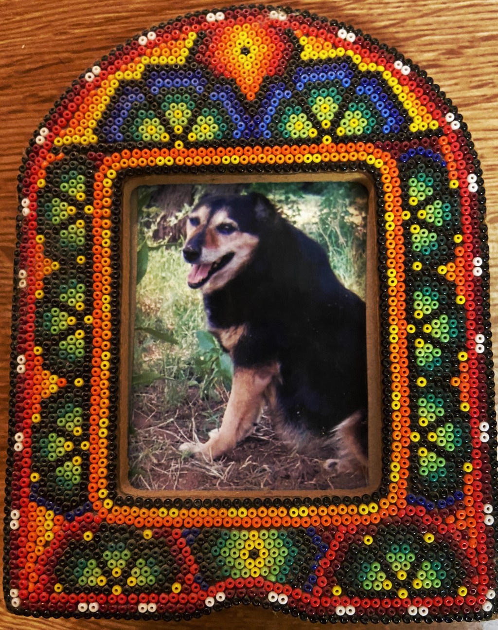 The Best Dogma&nbsp;Ever